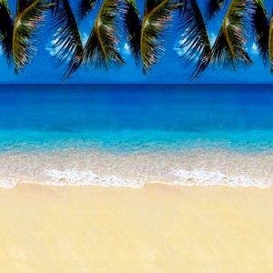 Bundle for @msjomesest86